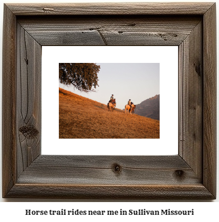 horse trail rides near me in Sullivan, Missouri